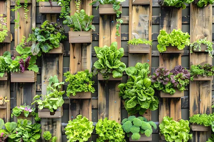 DIY pallet fence ideas