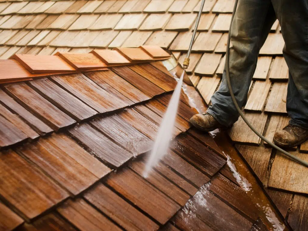 Roof Pressure Washing​